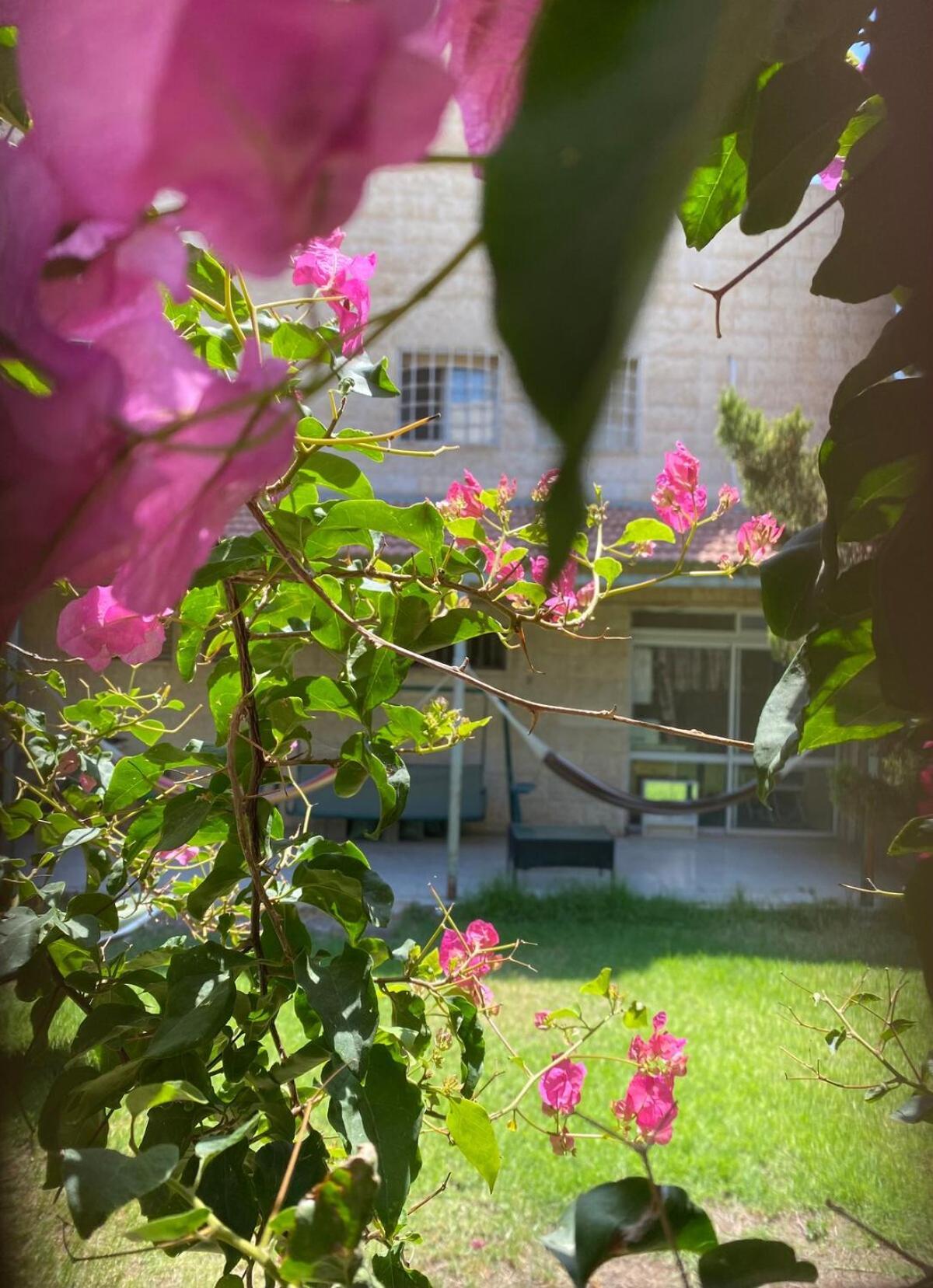 Appartement דירת גן מרווחת במיקום מעולה עם נטפליקס חינמי à Ma'ale Adumim Extérieur photo