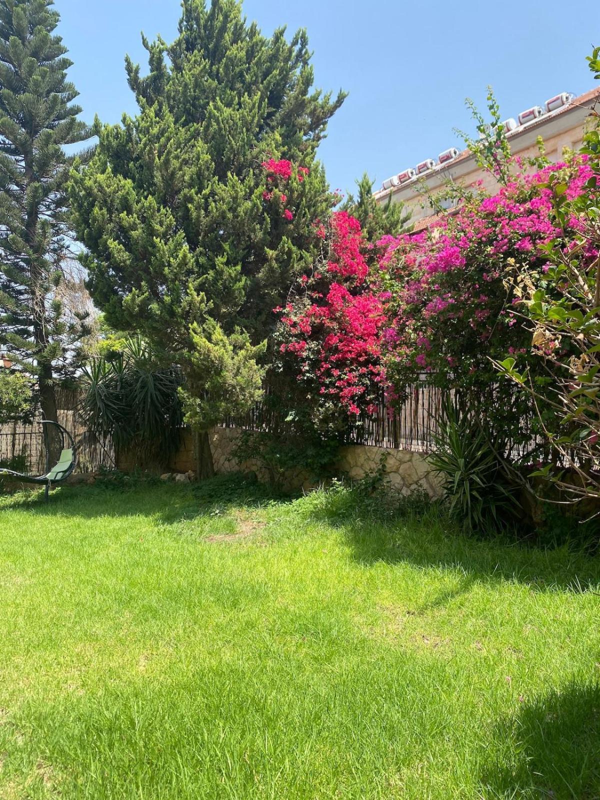 Appartement דירת גן מרווחת במיקום מעולה עם נטפליקס חינמי à Ma'ale Adumim Extérieur photo